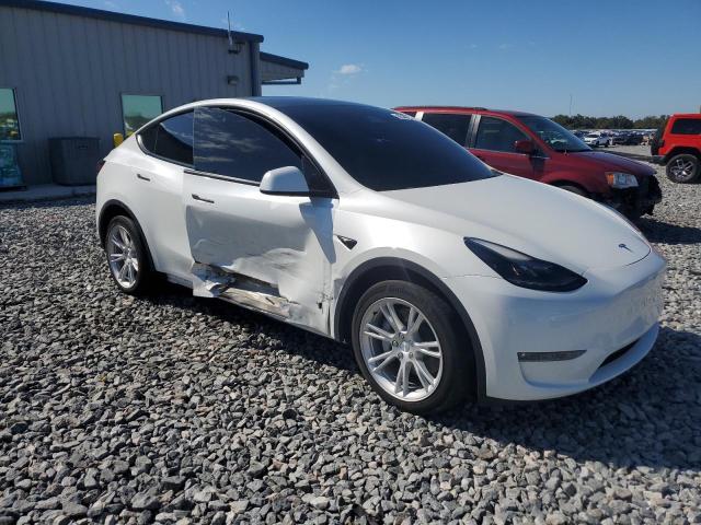 2023 TESLA MODEL Y #3302913055