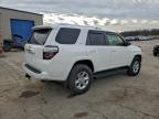 Lot #3298029163 2017 TOYOTA 4RUNNER SR