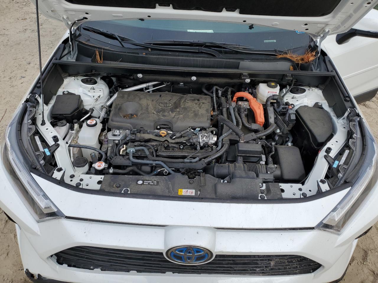 TOYOTA RAV4 XLE PREMIUM