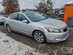 Lot #3296352133 2008 HONDA ACCORD EXL