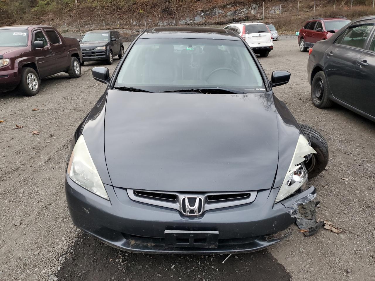 Lot #3312424640 2005 HONDA ACCORD EX