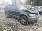 Lot #3296308455 2005 FORD ESCAPE XLT