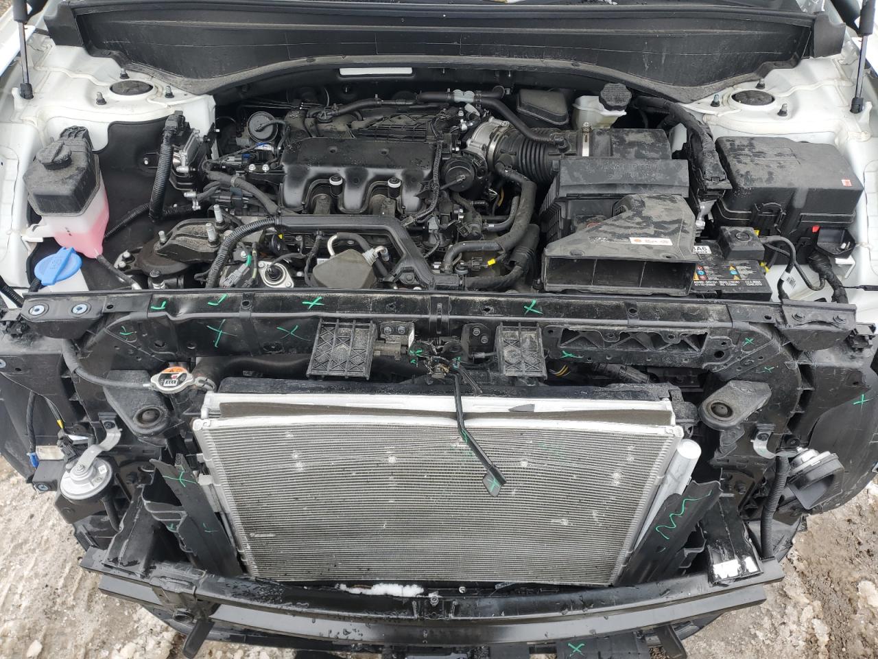 HYUNDAI PALISADE CALLIGRAPHY