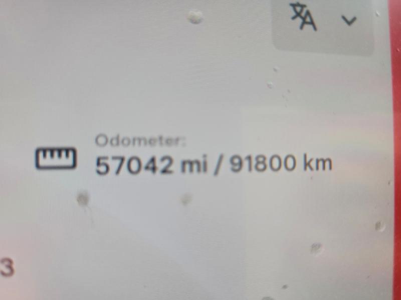 2022 TESLA MODEL 3 #3302855945