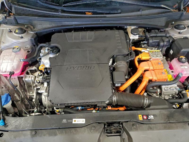 2024 HYUNDAI ELANTRA BL #3298028153