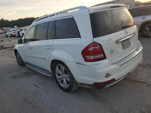 2010 MERCEDES-BENZ GL 450 4MA #3296902816
