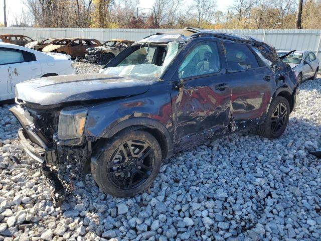 2025 KIA TELLURIDE #3308347057