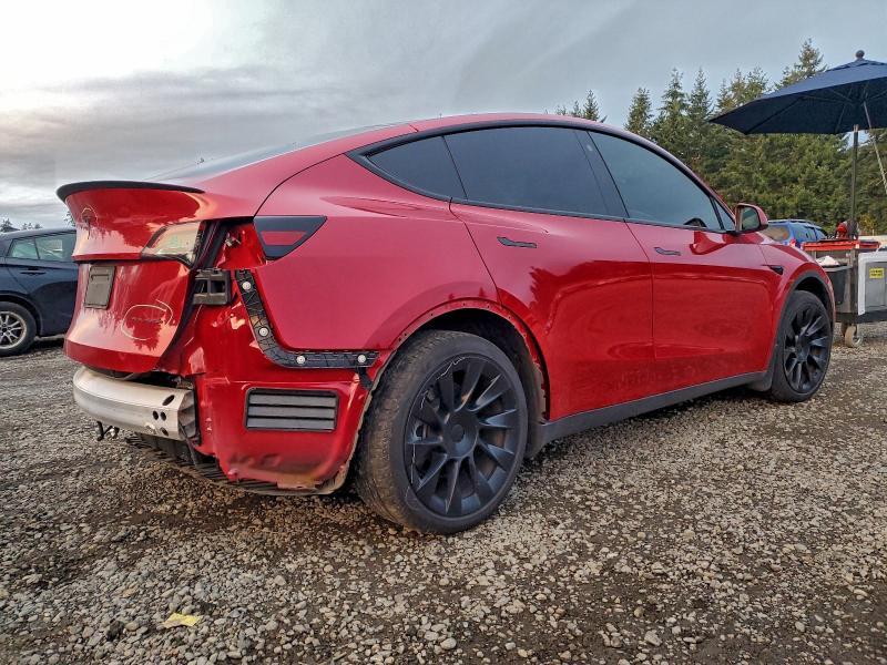 2023 TESLA MODEL Y #3302825942