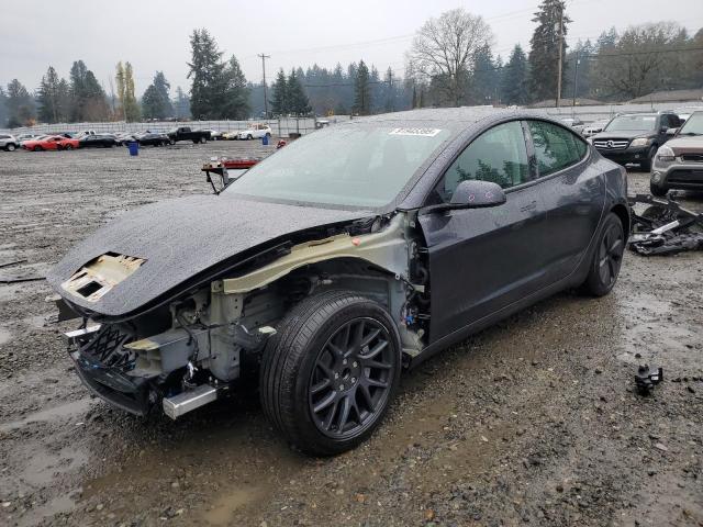 2025 TESLA MODEL 3 #3316081251