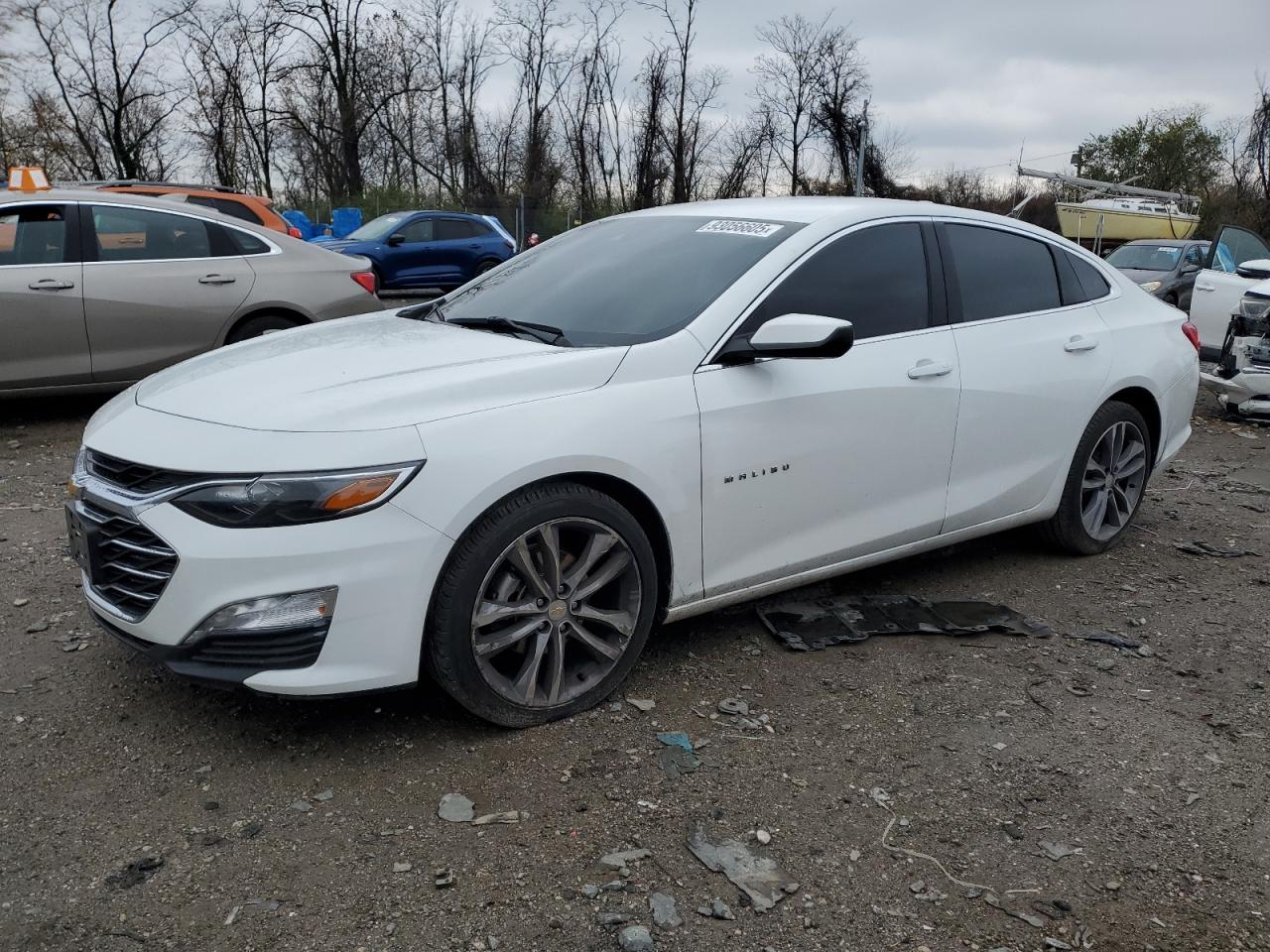 Lot #3298146266 2023 CHEVROLET MALIBU LT