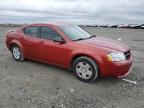 Lot #3292420607 2009 DODGE AVENGER SE