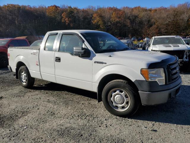 2010 FORD F150 SUPER - 1FTEX1CW5AFD23434