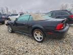 Lot #3297024354 1999 FORD MUSTANG GT