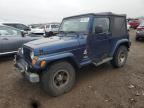 Lot #3318880916 2003 JEEP WRANGLER C