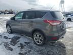 Lot #3296277408 2013 FORD ESCAPE