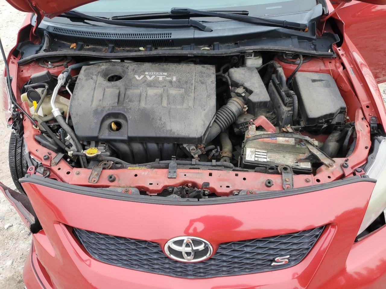 Lot #3316803407 2010 TOYOTA COROLLA BA