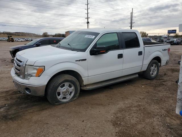 Global Auto Auctions: 2009 FORD F150 SUPER