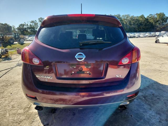 2010 NISSAN MURANO S - JN8AZ1MU4AW019618