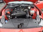 Lot #3305655729 2024 FORD MUSTANG