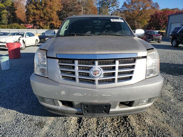 2010 CADILLAC ESCALADE E - 1GYUKJEF6AR225822