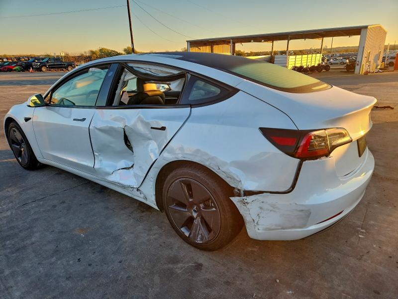 2023 TESLA MODEL 3 #3296387658