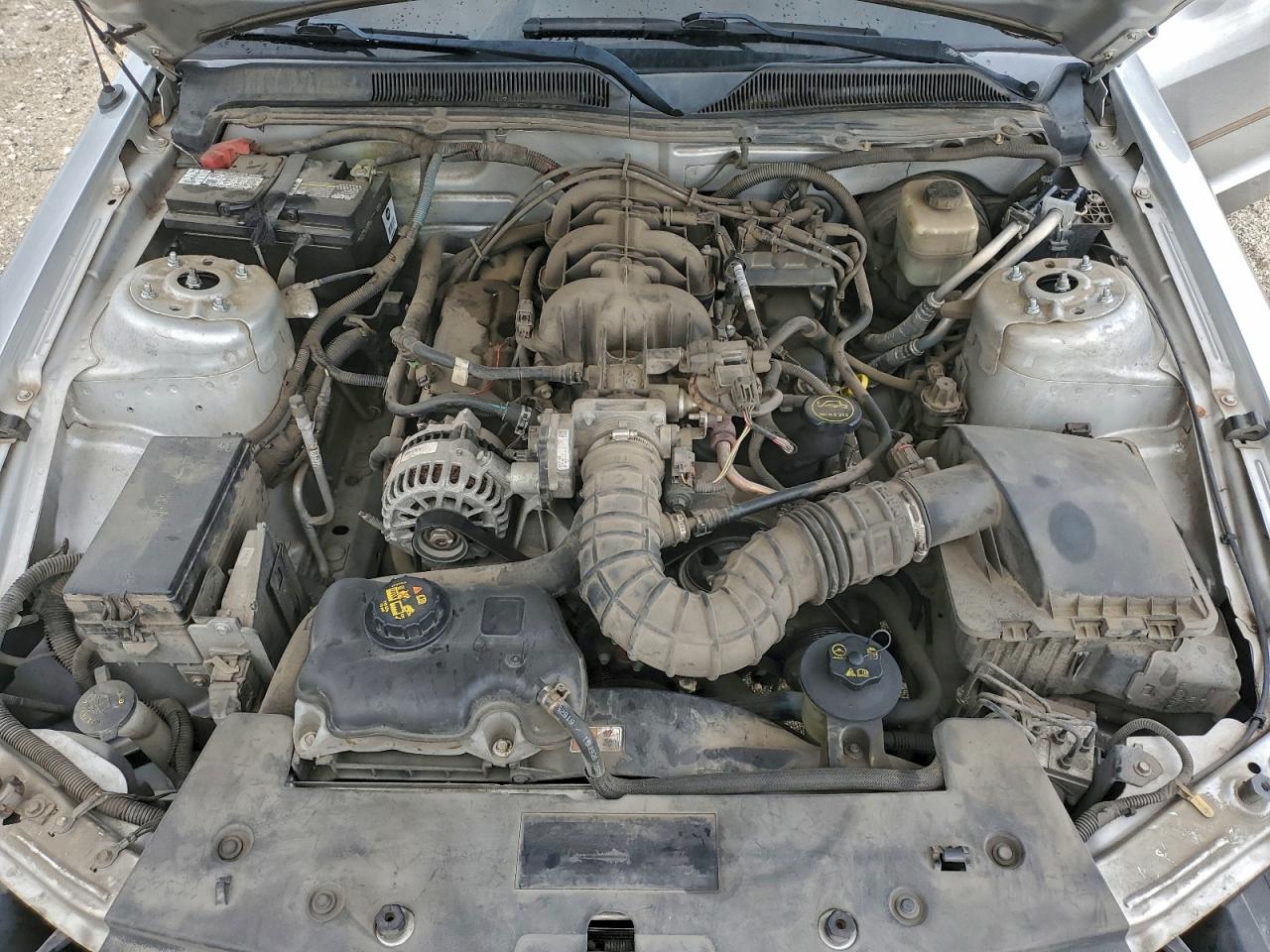 Lot #3301630667 2008 FORD MUSTANG