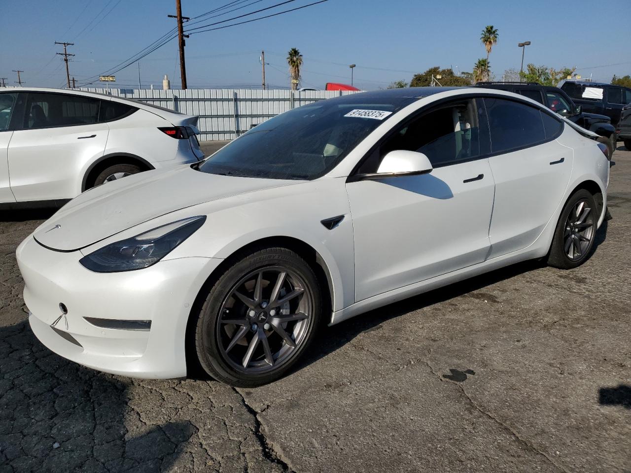 Lot #3317026124 2021 TESLA MODEL 3