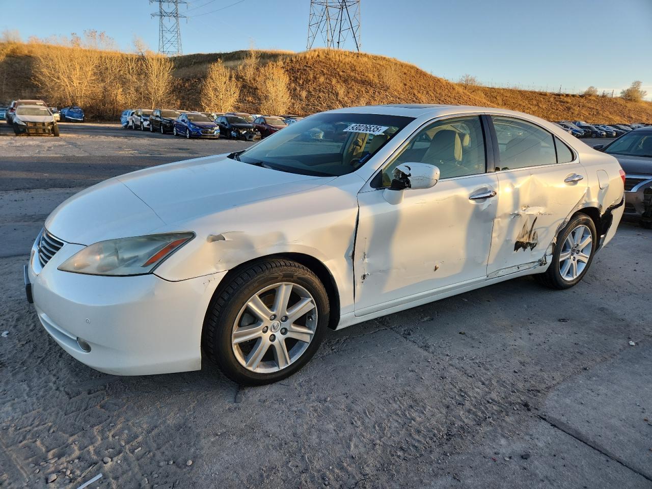 Lot #3290640830 2008 LEXUS ES 350