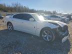 Lot #3303876730 2011 DODGE CHARGER R/