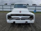 Lot #3304811638 1955 FORD F 100