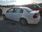 Lot #3302649022 2006 CHEVROLET MALIBU LT