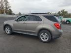 Lot #3293270422 2010 CHEVROLET EQUINOX LT