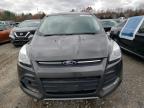 Lot #3305323322 2016 FORD ESCAPE SE