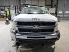Lot #3292515709 2010 CHEVROLET SILVERADO