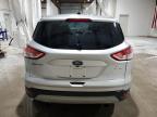 Lot #3316722451 2015 FORD ESCAPE SE