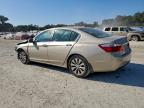 Lot #3310383995 2013 HONDA ACCORD EXL
