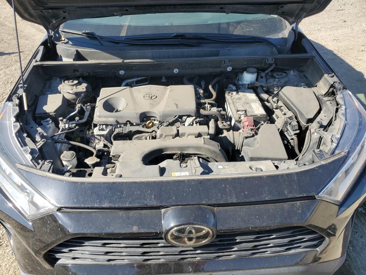 Lot #3318065380 2021 TOYOTA RAV4 XLE