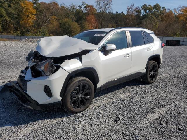 Global Auto Auctions: 2023 TOYOTA RAV4 SE
