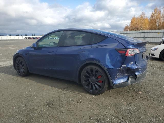2023 TESLA MODEL Y #3304849549