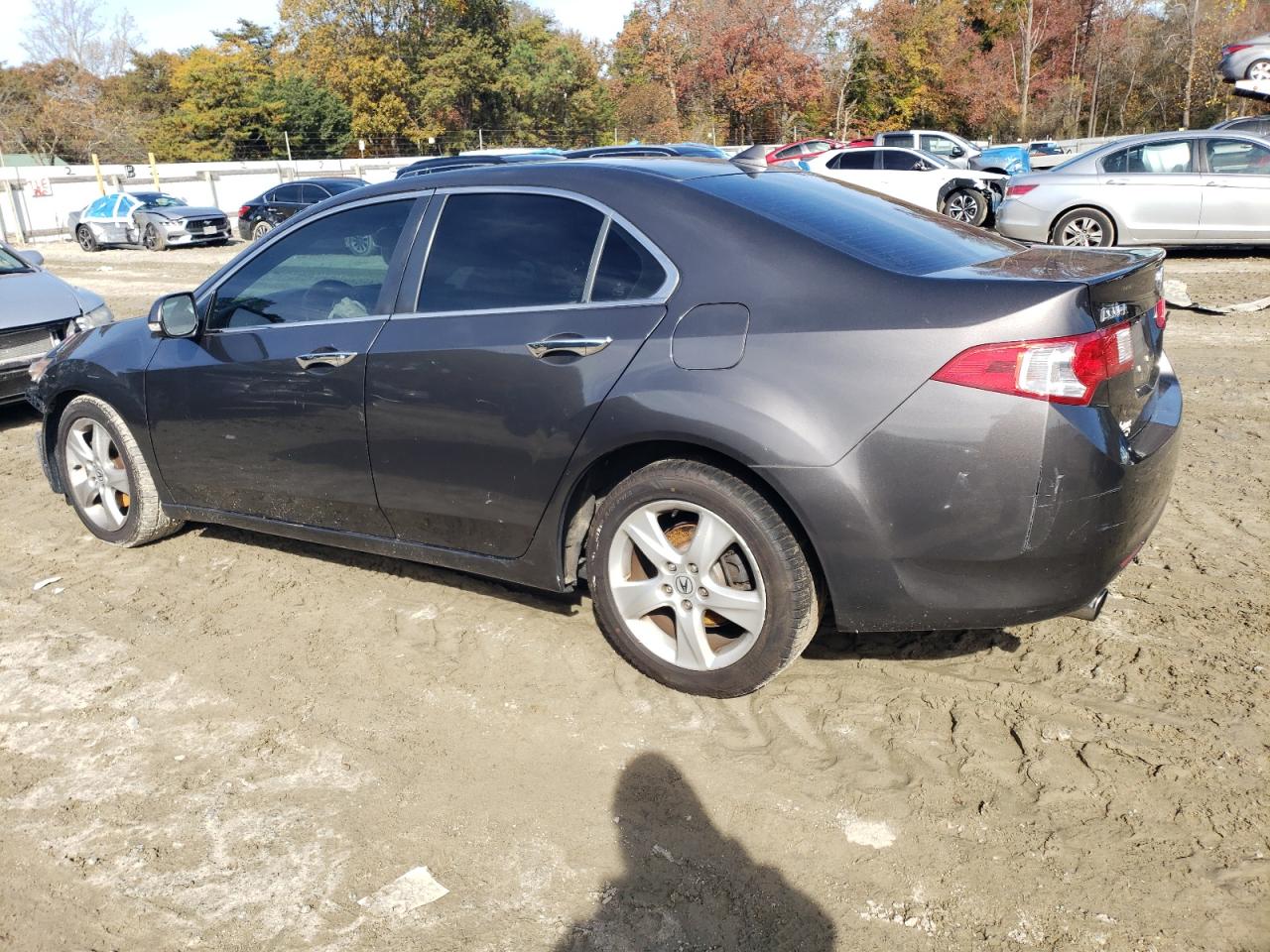 Lot #3310393961 2010 ACURA TSX