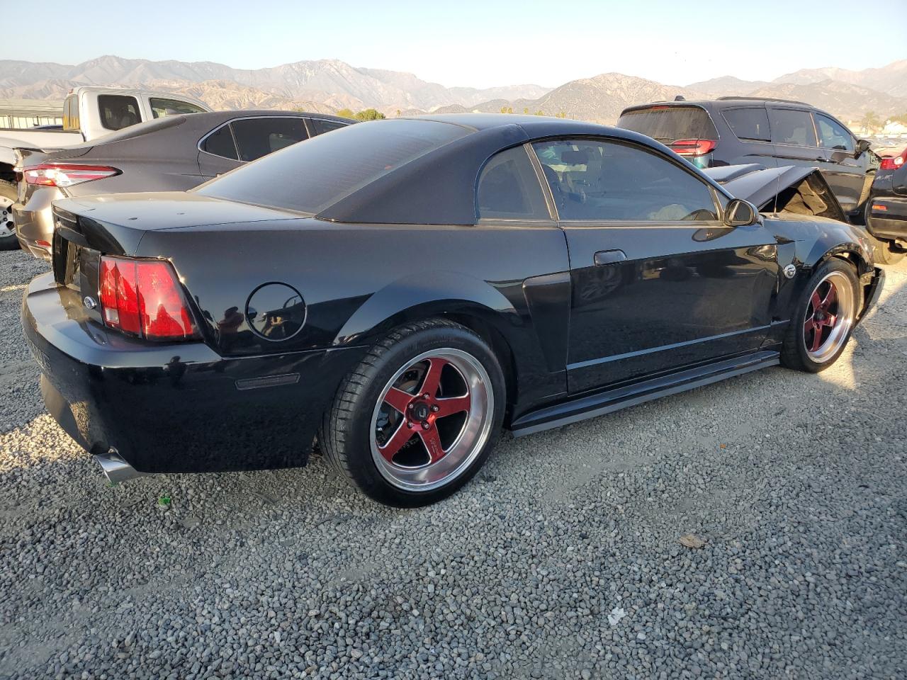 Lot #3302766396 2004 FORD MUSTANG GT
