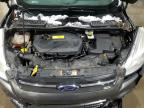 Lot #3305459080 2015 FORD ESCAPE SE