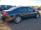 Lot #3293478426 2005 NISSAN MAXIMA SE