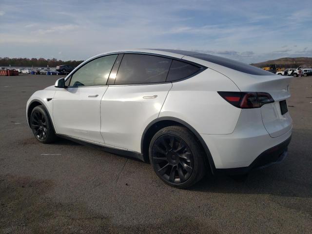 2023 TESLA MODEL Y #3311624247