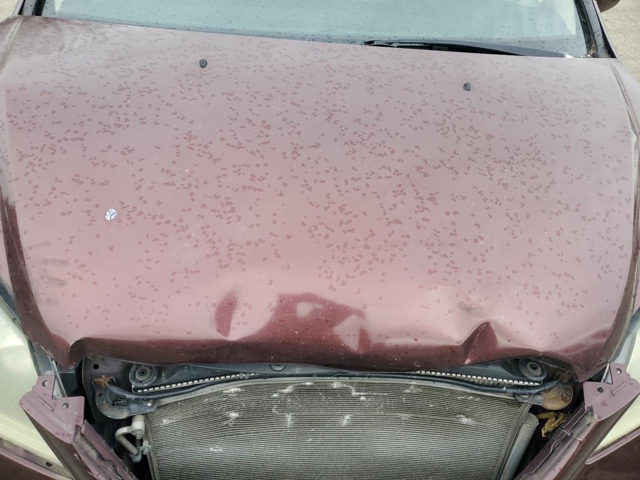 Lot #3302736040 2007 HONDA ODYSSEY EX