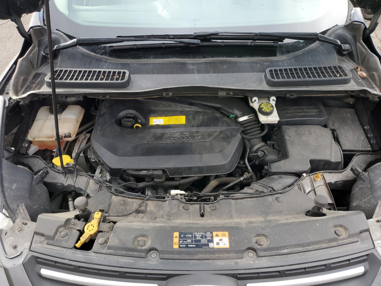 Lot #3290269201 2015 FORD ESCAPE SE