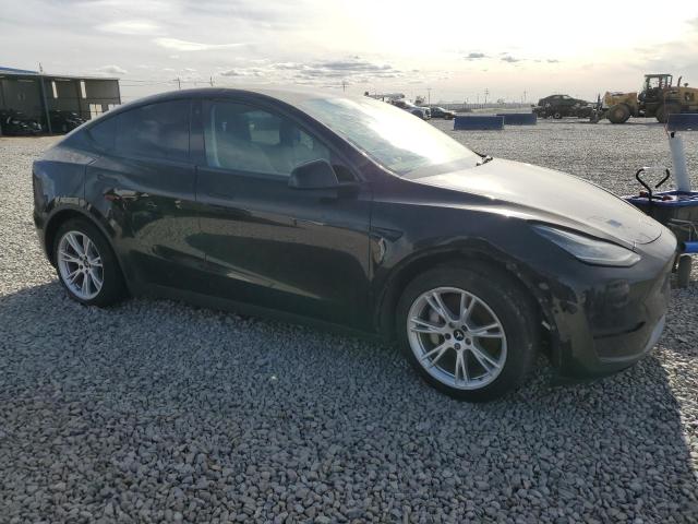 2021 TESLA MODEL Y #3304709907
