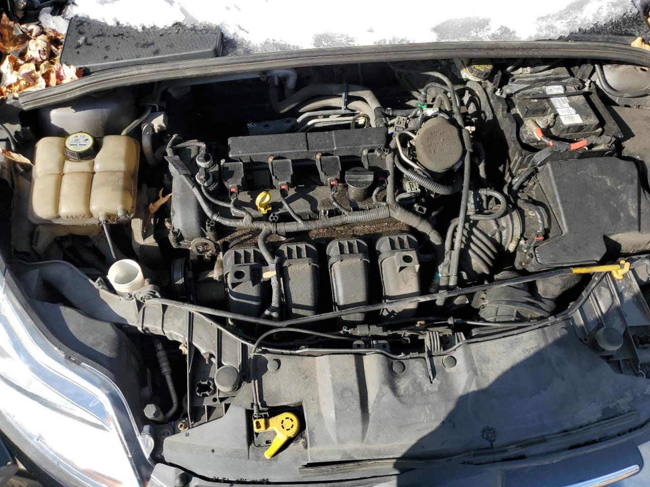 Lot #3308281164 2013 FORD FOCUS SE