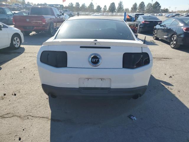 2010 FORD MUSTANG GT - 1ZVBP8CH4A5136007