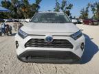 Lot #3297933780 2024 TOYOTA RAV4 XLE P